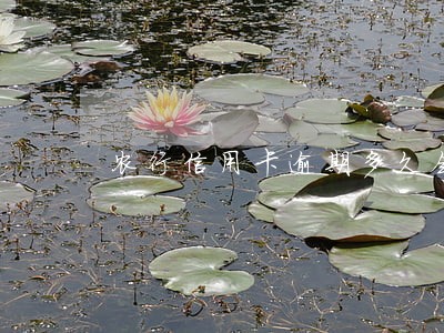 农行信用卡逾期多久会划走工资 农行信用卡逾期多久会划走工资