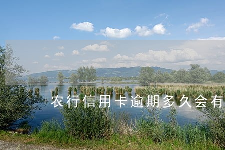 农行信用卡逾期多久会有危险记录 农行信用卡逾期多久会有危险记录