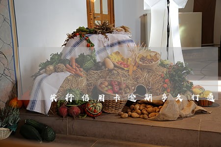 农行信用卡逾期多久打通讯录