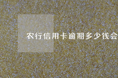 农行信用卡逾期多少钱会被上诉 农行信用卡逾期多少钱会被上诉