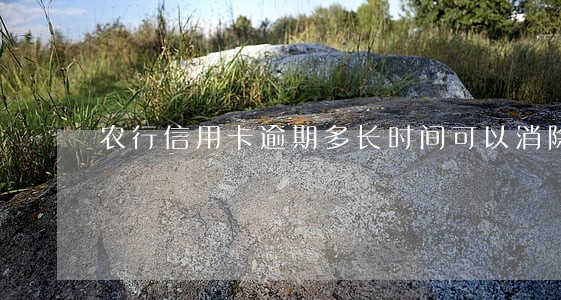 农行信用卡逾期多长时间可以消除 农行信用卡逾期多长时间可以消除