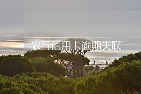 农行信用卡逾期失联