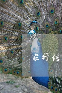 农行信用卡逾期好不好协商分期 农行信用卡逾期好不好协商分期