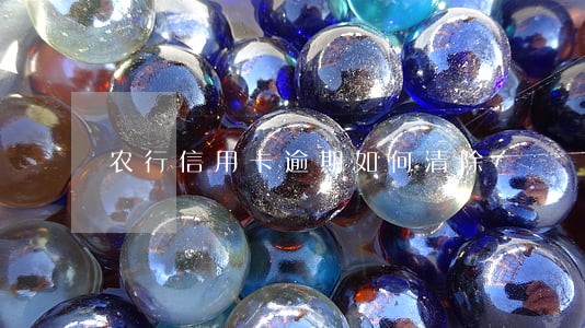 农行信用卡逾期如何清除