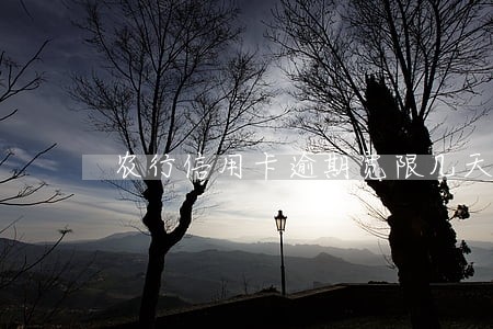 农行信用卡逾期宽限几天