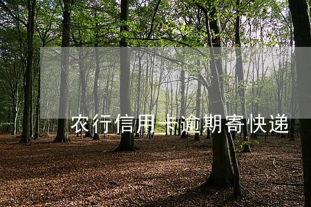 农行信用卡逾期寄快递 农行信用卡逾期寄快递