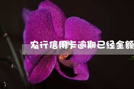 农行信用卡逾期已经全额还款 农行信用卡逾期已经全额还款