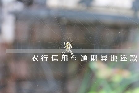 农行信用卡逾期异地还款吗