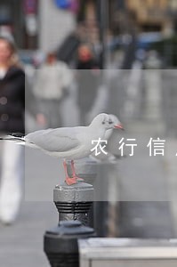 农行信用卡逾期影响网捷贷吗 农行信用卡逾期影响网捷贷吗