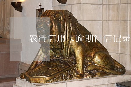 农行信用卡逾期征信记录