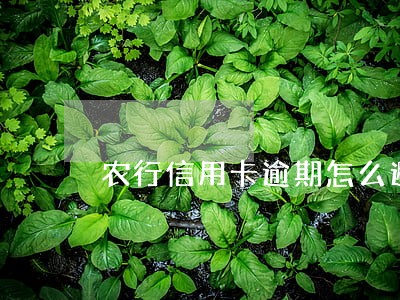 农行信用卡逾期怎么避免起诉 农行信用卡逾期怎么避免起诉