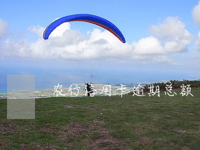 农行信用卡逾期总额 农行信用卡逾期总额