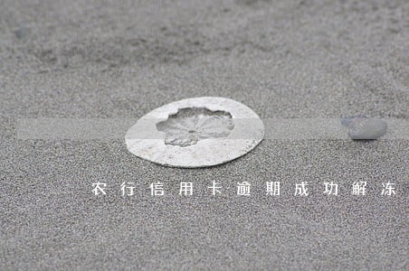 农行信用卡逾期成功解冻 农行信用卡逾期成功解冻