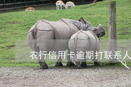 农行信用卡逾期打联系人电话