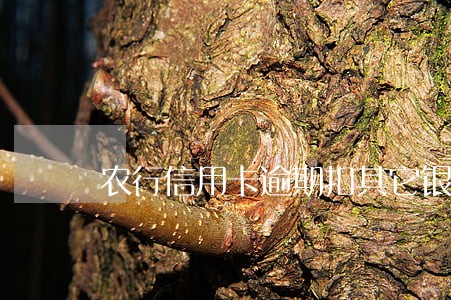 农行信用卡逾期扣其它银行卡