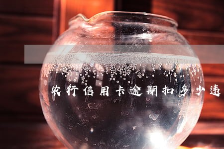 农行信用卡逾期扣多少违约金 农行信用卡逾期扣多少违约金