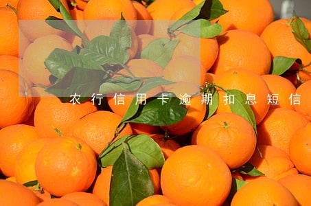 农行信用卡逾期扣息短信内容 农行信用卡逾期扣息短信内容