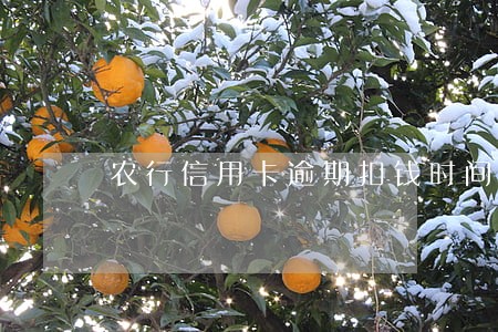 农行信用卡逾期扣钱时间 农行信用卡逾期扣钱时间