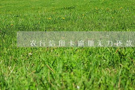农行信用卡逾期无力还款怎么办 农行信用卡逾期无力还款怎么办