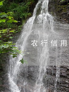 农行信用卡逾期无法分期还款