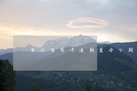农行信用卡逾期显示分期利息