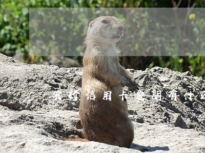农行信用卡逾期有什么影响吗 农行信用卡逾期有什么影响吗