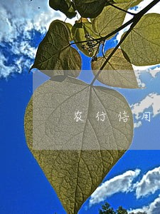 农行信用卡逾期有几天时间 农行信用卡逾期有几天时间