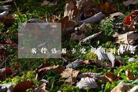 农行信用卡逾期有刑事责任吗 农行信用卡逾期有刑事责任吗