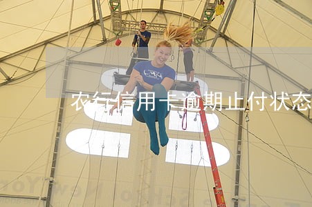 农行信用卡逾期止付状态怎么消除 农行信用卡逾期止付状态怎么消除