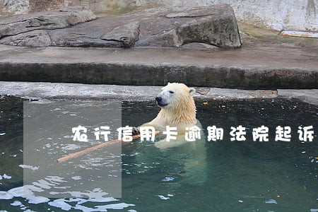 农行信用卡逾期法院起诉 农行信用卡逾期法院起诉