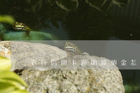 农行信用卡逾期滞纳金怎么算的 农行信用卡逾期滞纳金怎么算的