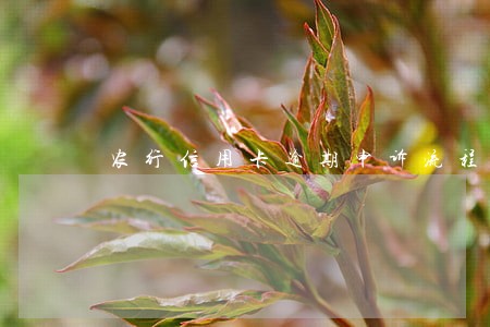 农行信用卡逾期申诉流程要多久 农行信用卡逾期申诉流程要多久