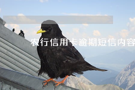 农行信用卡逾期短信内容 农行信用卡逾期短信内容