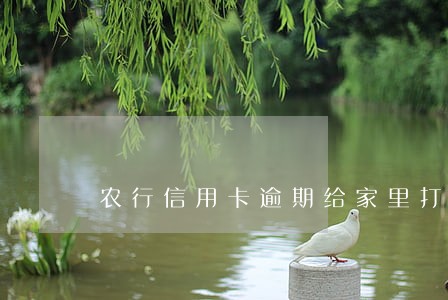 农行信用卡逾期给家里打电话了 农行信用卡逾期给家里打电话了