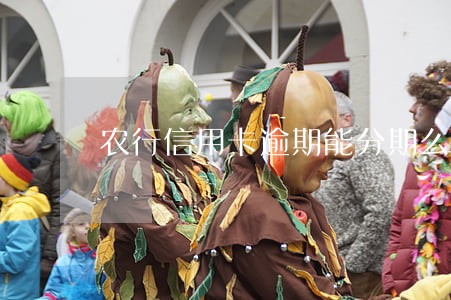 农行信用卡逾期能分期么 农行信用卡逾期能分期么