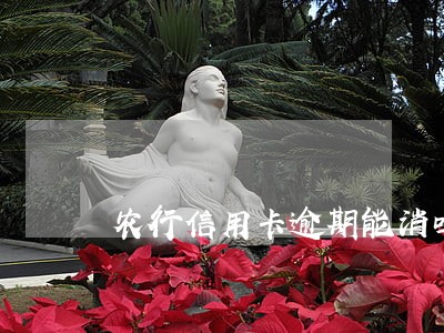 农行信用卡逾期能消吗 农行信用卡逾期能消吗
