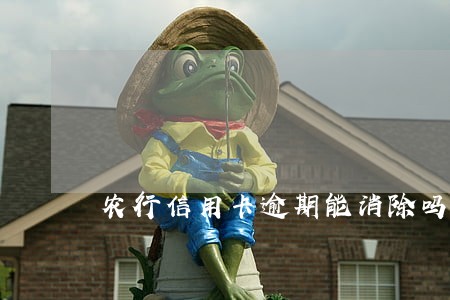 农行信用卡逾期能消除吗 农行信用卡逾期能消除吗