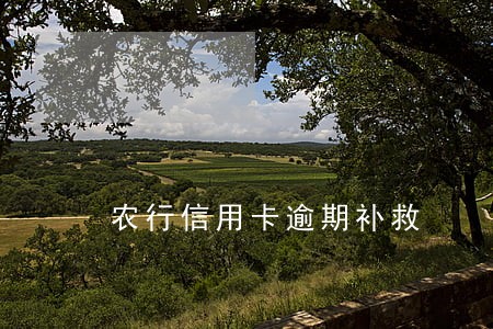 农行信用卡逾期补救 农行信用卡逾期补救