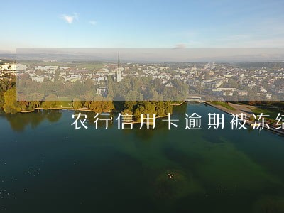 农行信用卡逾期被冻结建议销卡