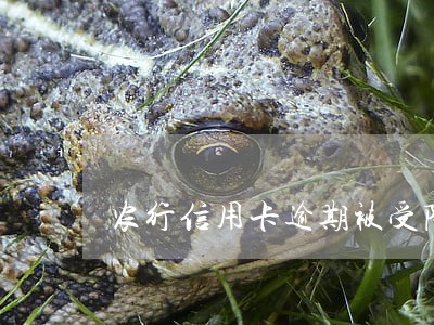 农行信用卡逾期被受限 农行信用卡逾期被受限