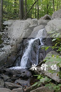 农行信用卡逾期被注销 农行信用卡逾期被注销