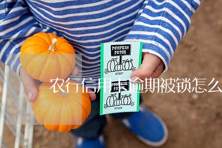农行信用卡逾期被锁怎么办 农行信用卡逾期被锁怎么办