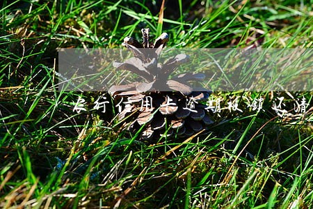 农行信用卡逾期被锁还清后