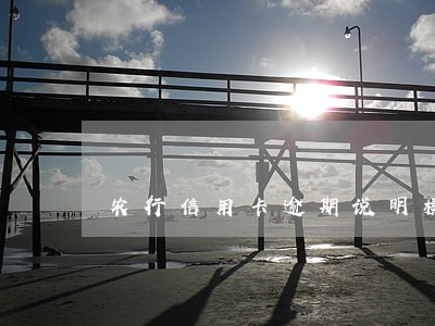 农行信用卡逾期说明模板 农行信用卡逾期说明模板