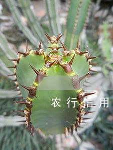 农行信用卡逾期说起诉 农行信用卡逾期说起诉