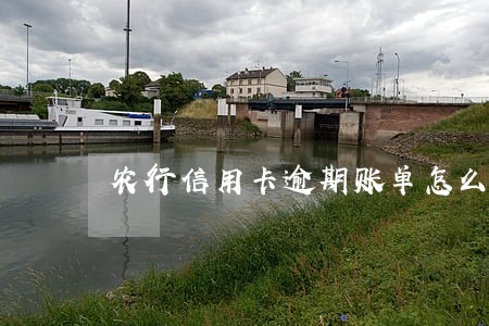 农行信用卡逾期账单怎么补 农行信用卡逾期账单怎么补