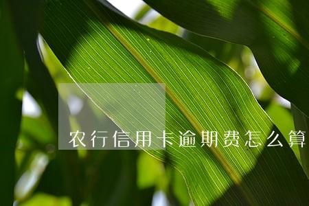农行信用卡逾期费怎么算