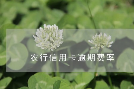 农行信用卡逾期费率 农行信用卡逾期费率