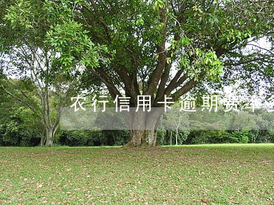 农行信用卡逾期费率多少 农行信用卡逾期费率多少