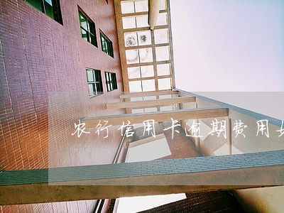 农行信用卡逾期费用如何追回 农行信用卡逾期费用如何追回